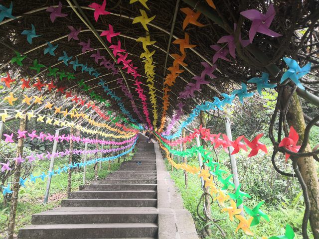 深圳周末小众好去处,深圳大鹏小众旅游景点