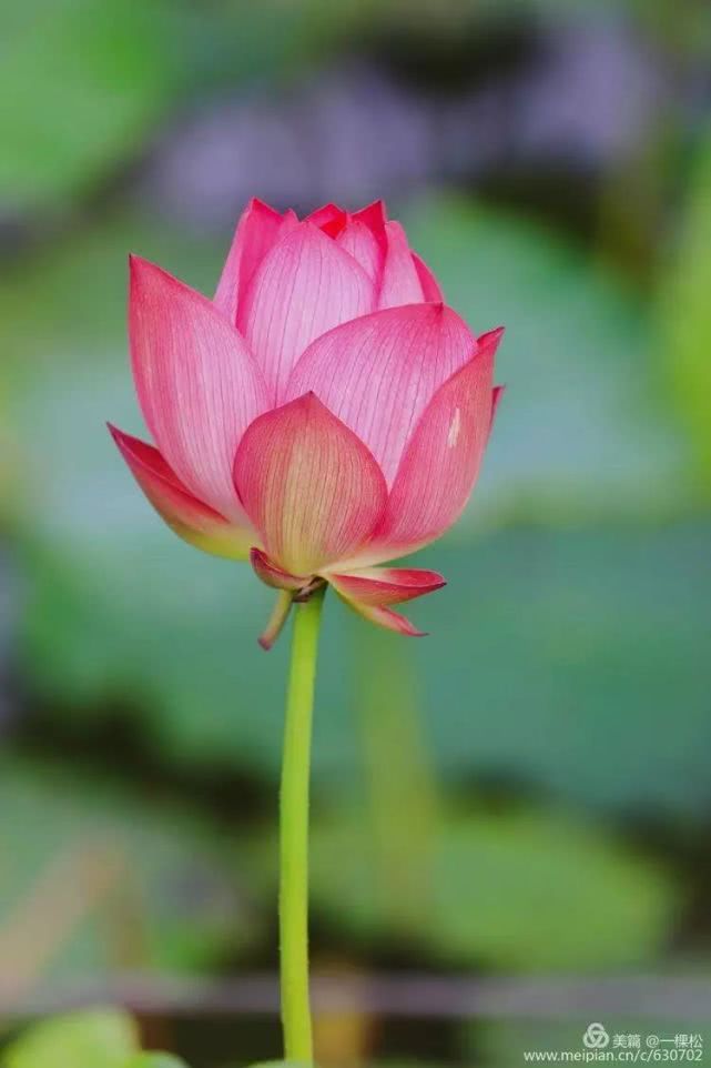 西乡周边景色美的地方,西乡哪里有夜景好看的