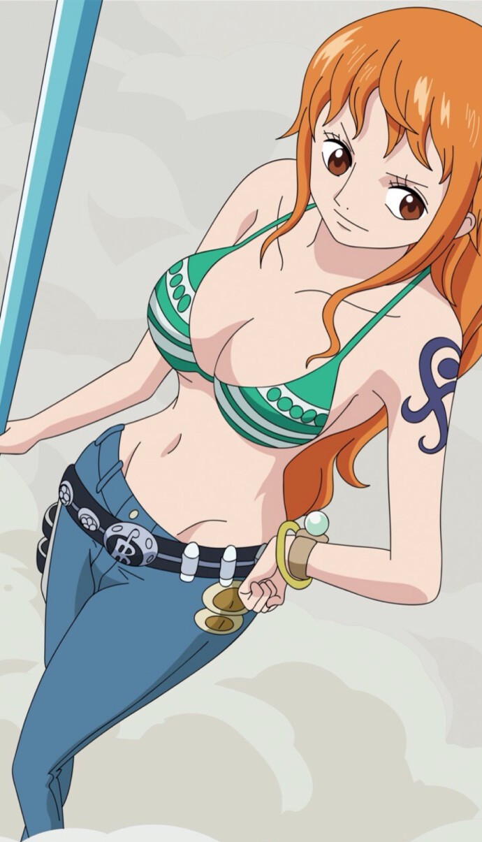 海贼王娜美静态图片,海贼王娜美自拍