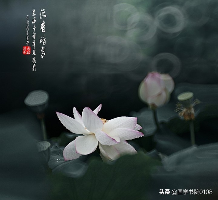 人生哲理《六字经》：男人应有骨气，女人要有魅力