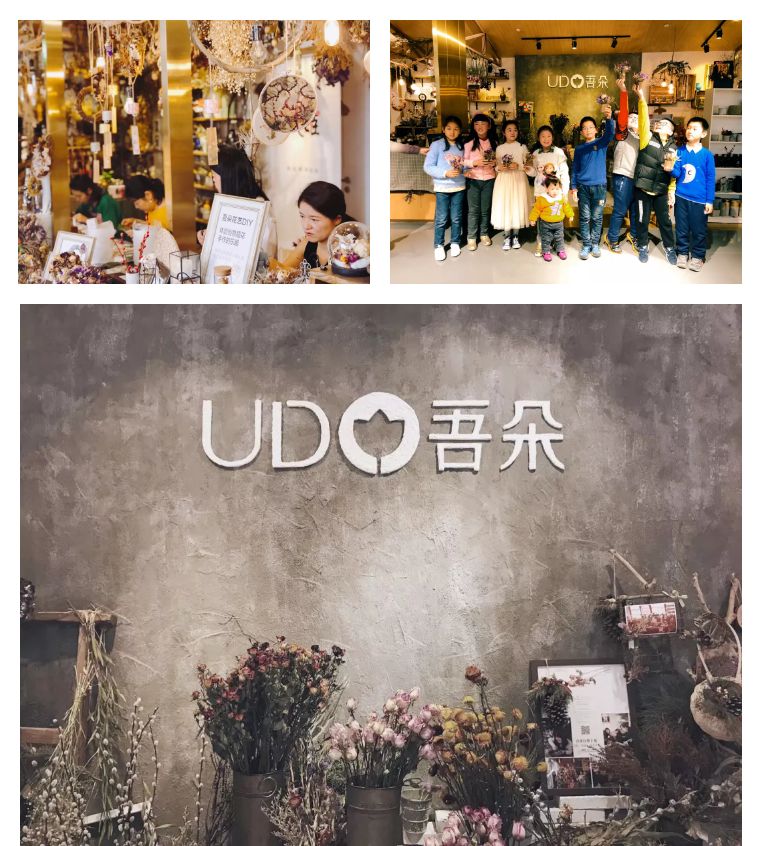 植物之美在于万物皆有情愫,植物之美有哪些