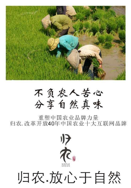 中科院博士为什么要读研,中科院出来博士生有用吗