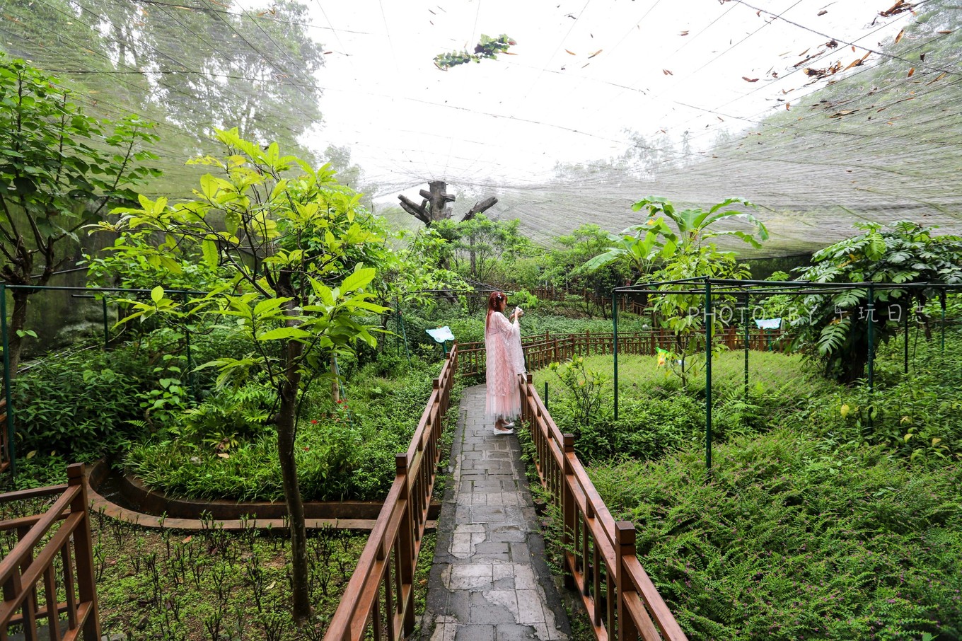 享受鼎湖山绝美风景,换个角度的风景
