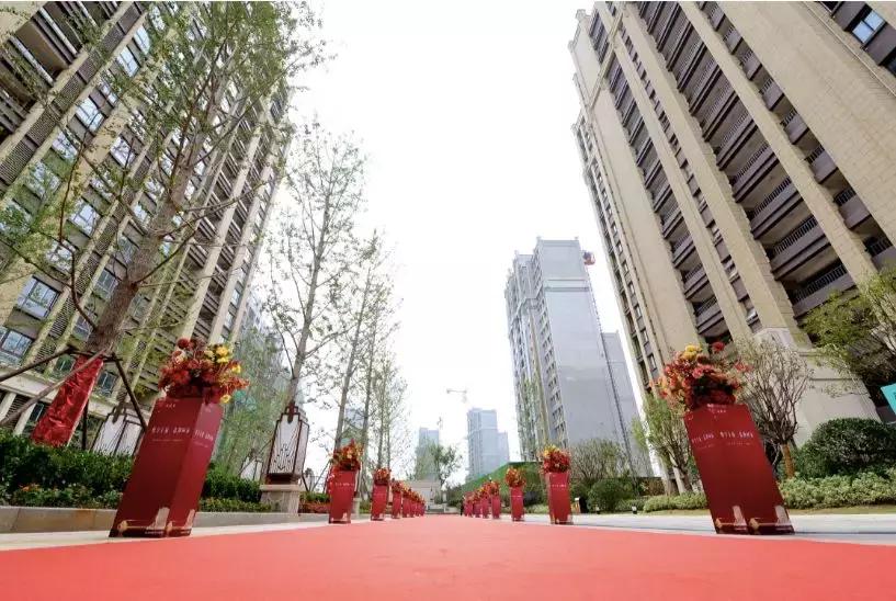 徐州升级改造,徐州未来对九里湖片区的规划