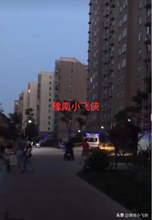 信阳18楼坠楼事件,河南信阳一小区13岁男孩坠楼