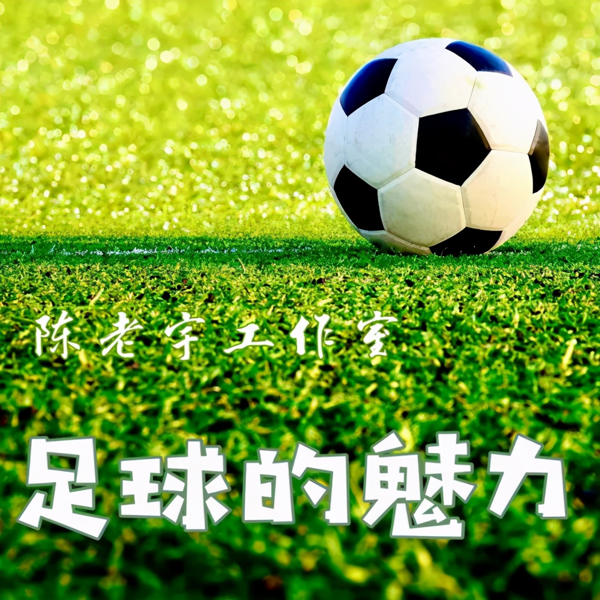 足球的魅力,足球的魅力欧洲杯