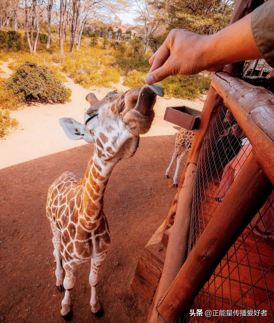 全世界50个最美景点,全球公认的最美的二十个地方