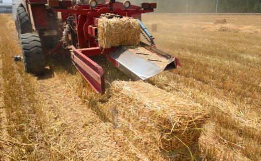 柿黄集村:麦秸打捆成饲料一天能挣400多