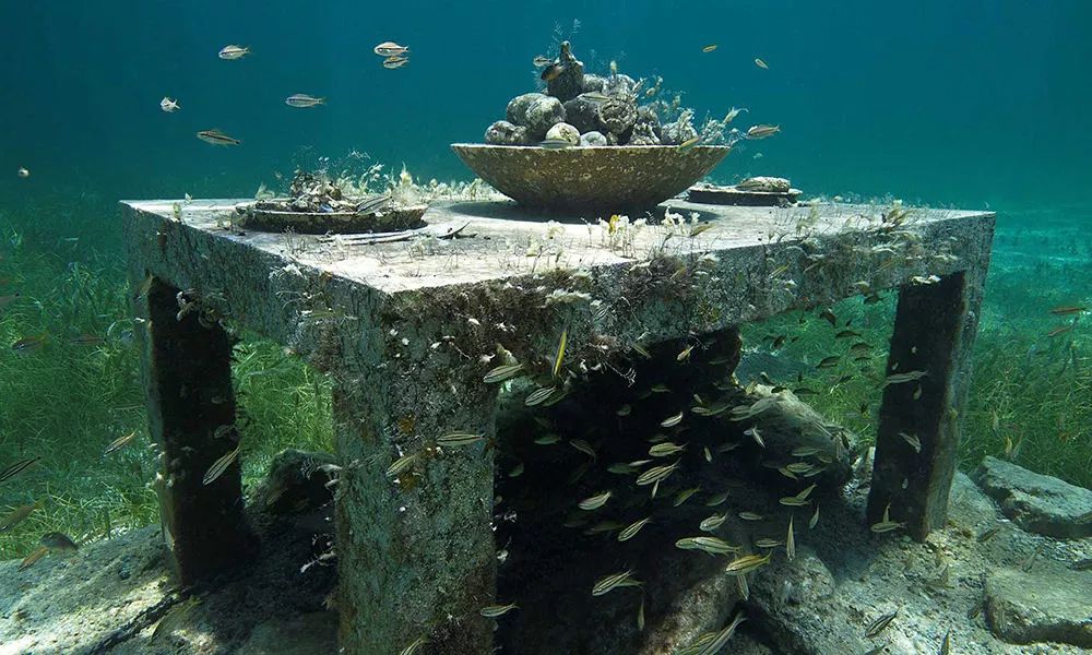 马尔代夫10个拖尾沙滩度假岛,陈小春在马尔代夫