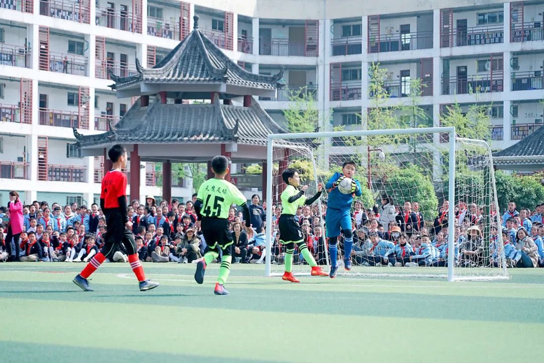 双流足球,我市新增4所全国足球特色校园