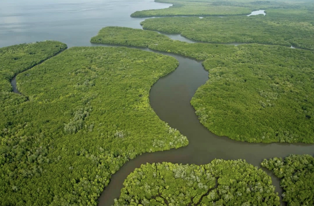 世界第一湾鳄,野性婆罗洲介绍