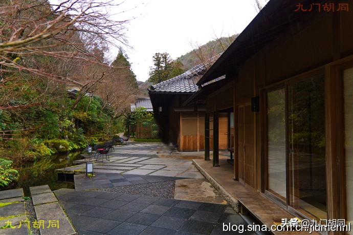 京都岚山风景区在哪,京都岚山樱花