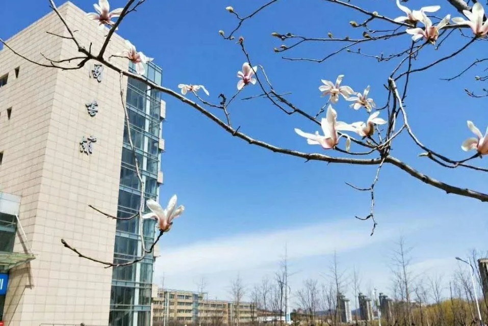 向往的大外|带你一起看大外