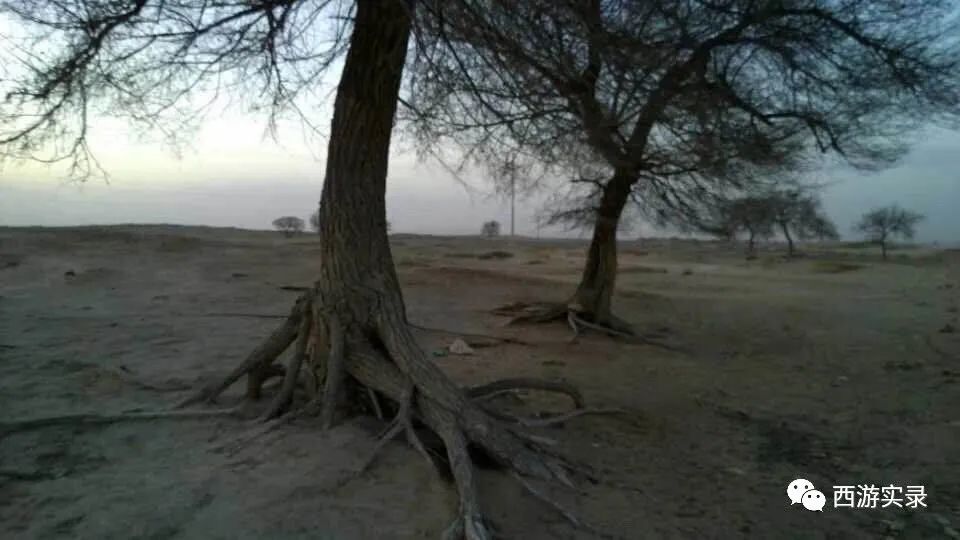 自驾环球旅游需要准备哪些,自驾环球要准备什么