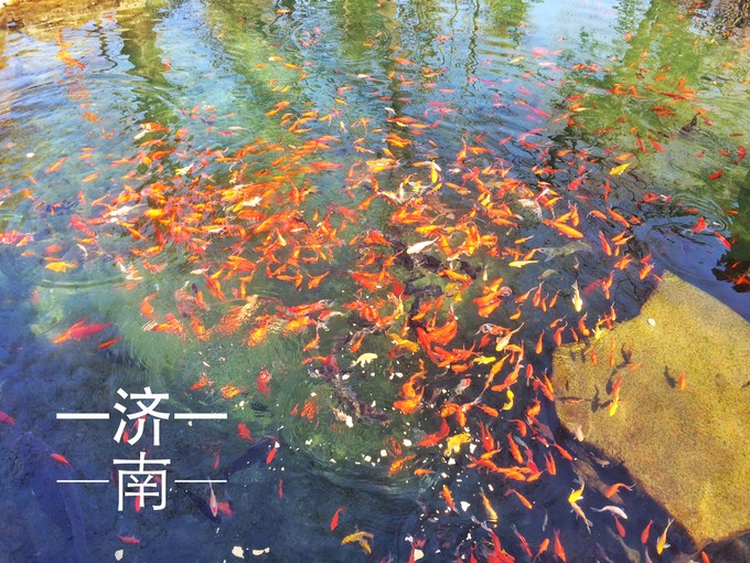 济南到三亚的旅游景点攻略一日游,济南一日游攻略必去景点大盘点