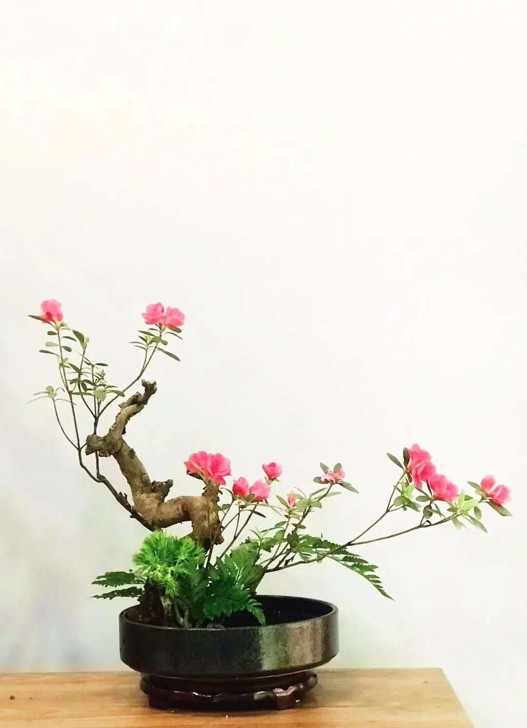 绵阳传统插花,绵阳南山居花店