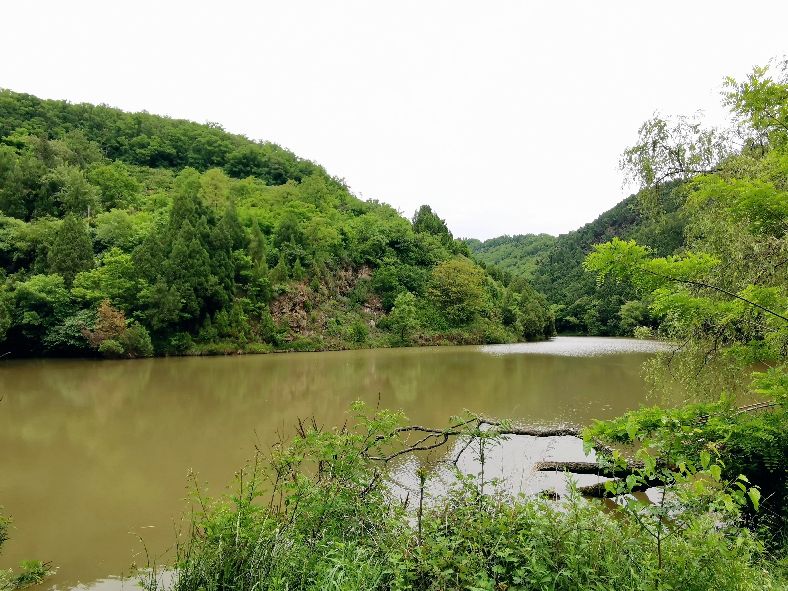 西安洪庆焚书坑儒,洪庆山焚书坑儒