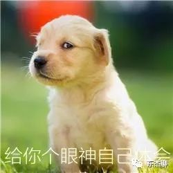 海缸np必须双零吗,海缸翻缸需要重新爆藻吗