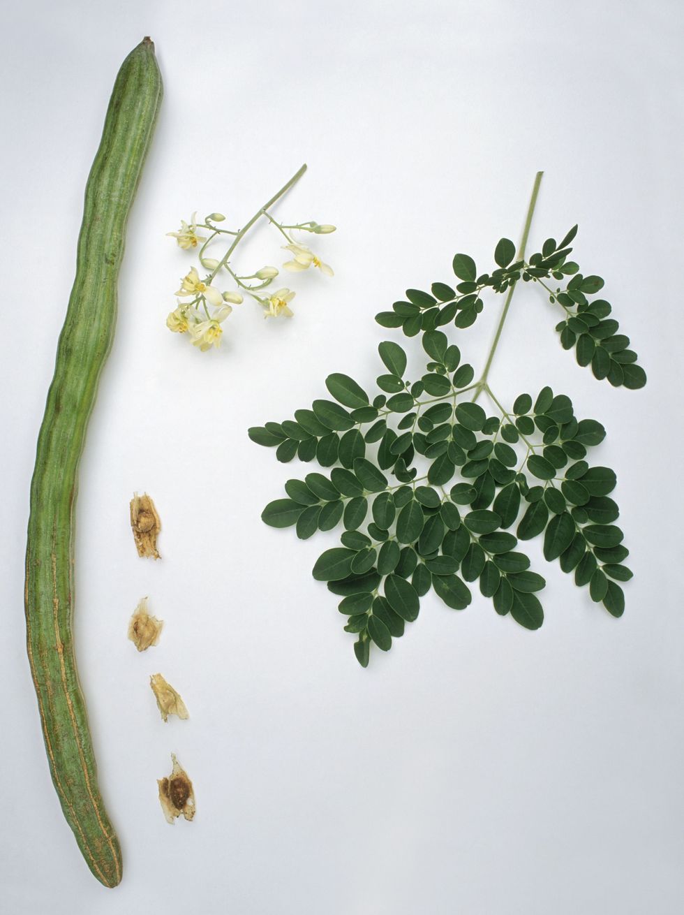 精油护肤独一无二的选择,挑护肤品去哪里看