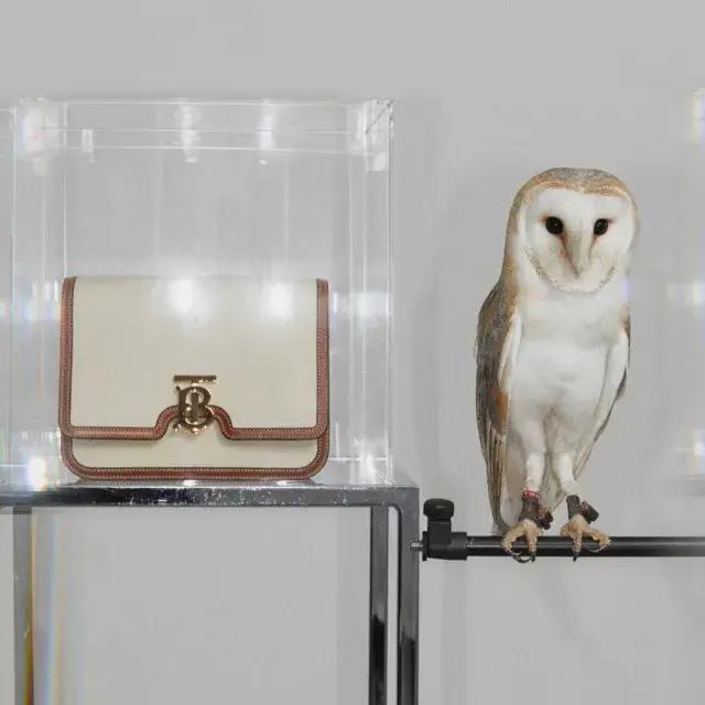 burberry风衣2018款,burberry风衣最新款2023