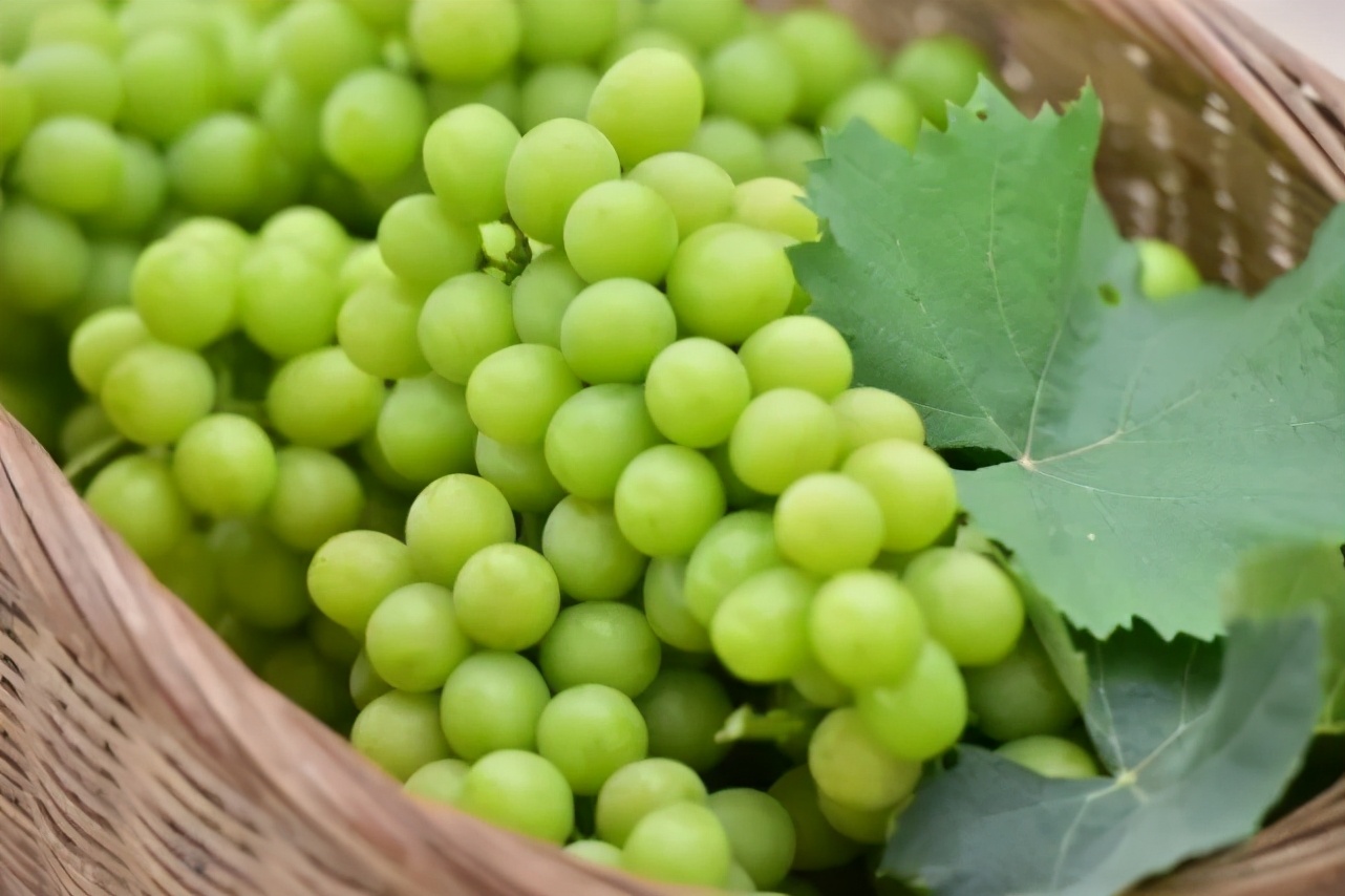 天府文创集市招募,天府文化公益活动