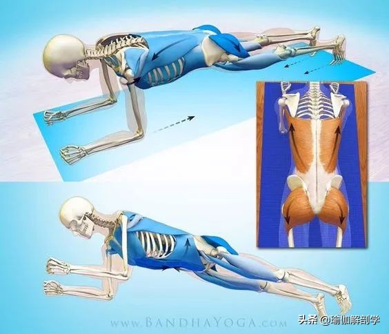 瑜伽18个基本体式,18个瑜伽体式正确图