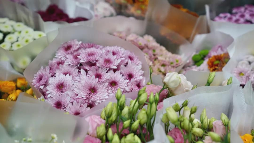 乌鲁木齐花市在哪里光明路附近,乌鲁木齐的花市在哪里