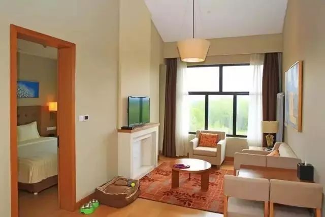 全国首家七星宠物度假酒店,最豪华的宠物酒店