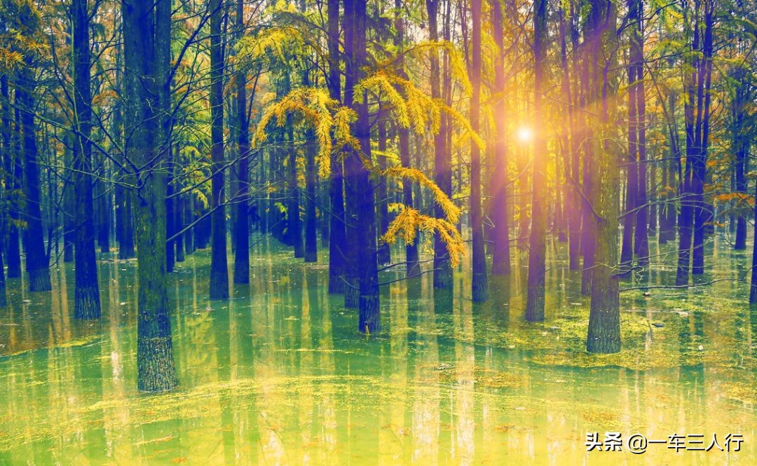 浙江最美山顶露营地,浙江十大免费露营地