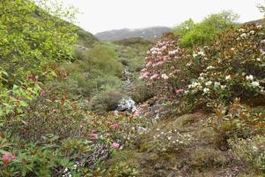 藏西地区归属,西藏藏南简介