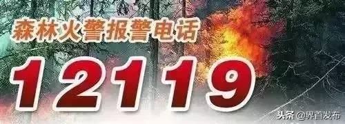 鐣岄鐑х焊绁,涓婂潫鐑х焊娉ㄦ剰妫灄闃茬伀