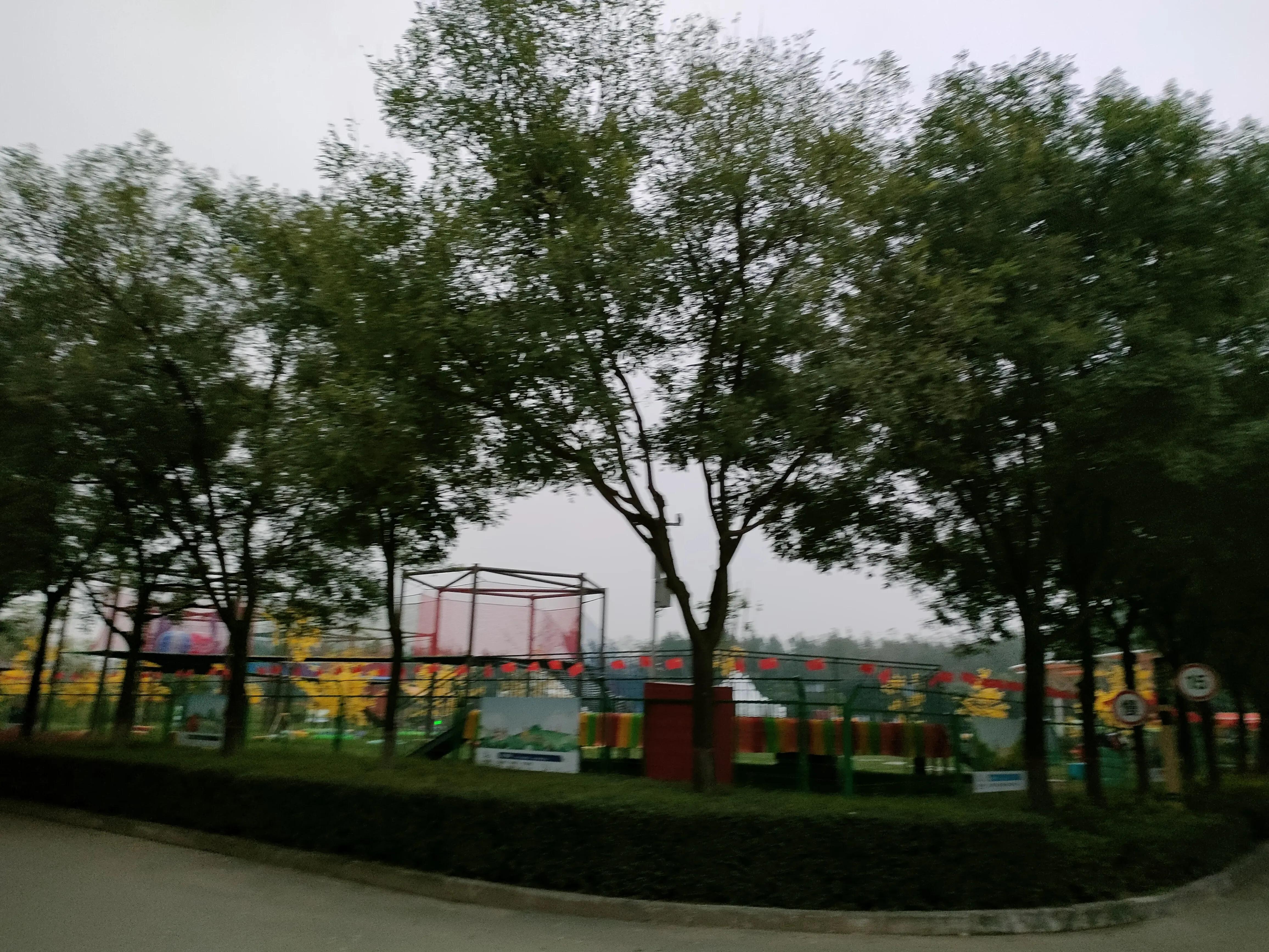 游西安曲江海洋极地公园,国庆去西安海洋极地公园