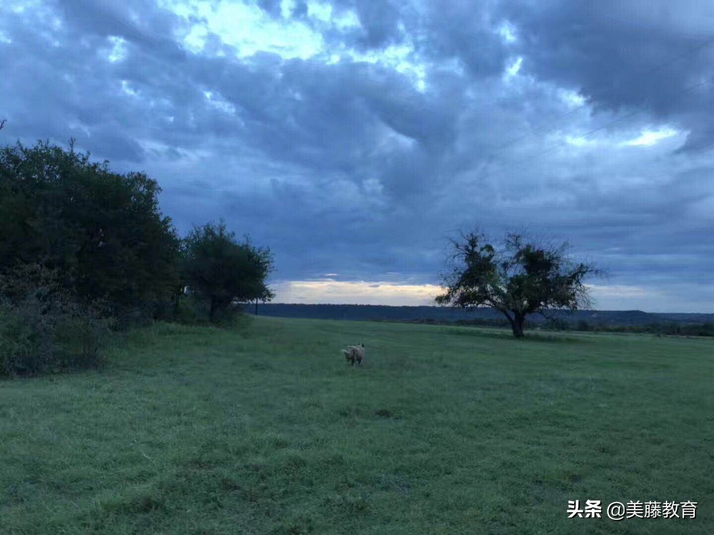 南达科他州立大学在哪城市,北达科他州立大学相当于中国哪所