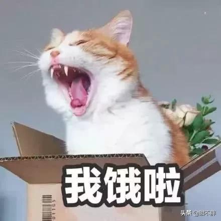 奶茶制作方法家庭焦糖奶茶,做最简单的奶茶不可以是焦糖奶茶