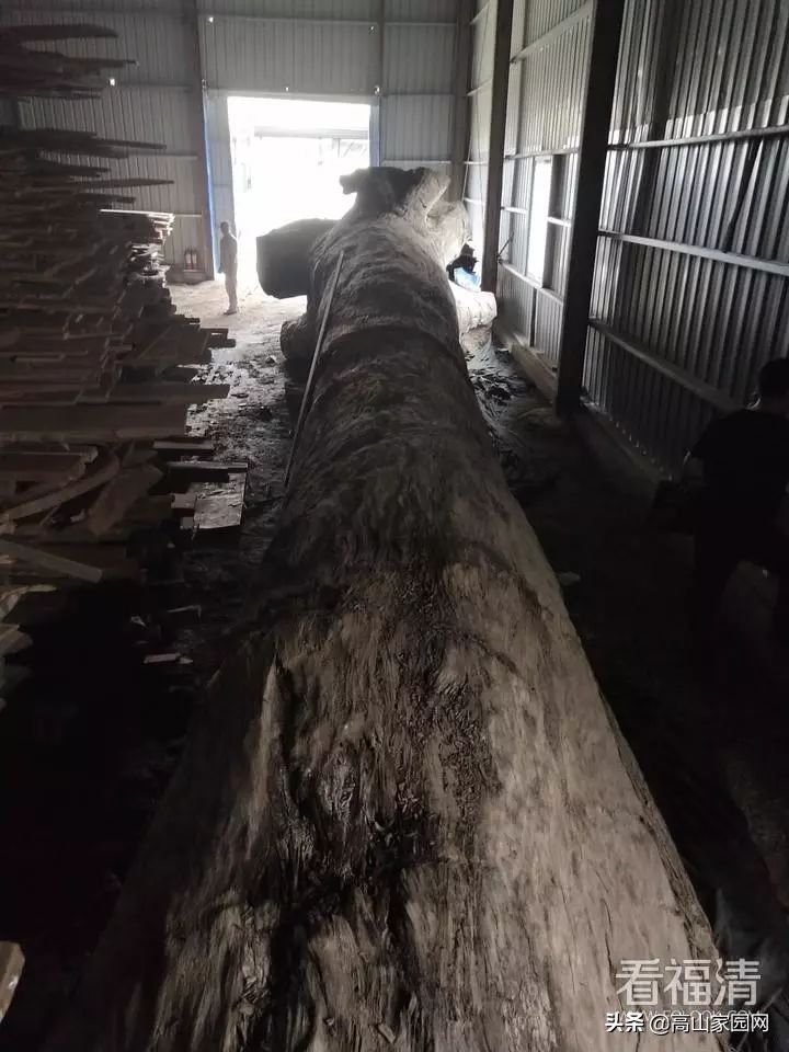 福清老板拥有的一根木头,能值600万?