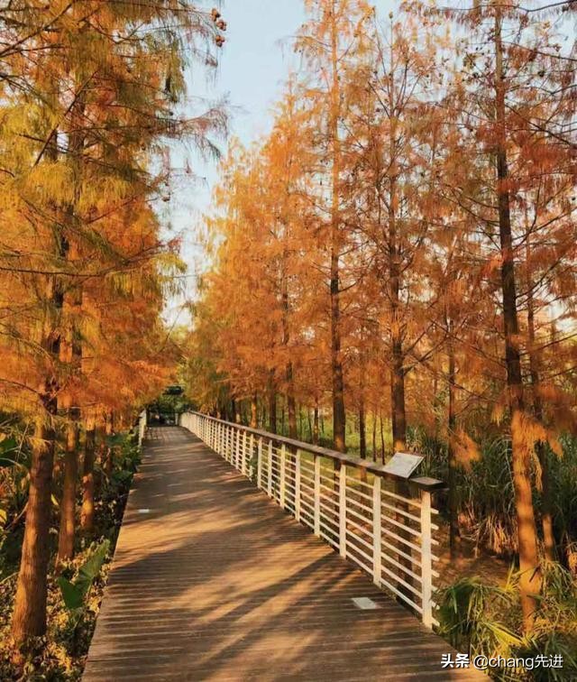 广州周边情侣出游最佳旅行地,情侣旅游地点推荐广州拍照