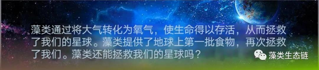 藻类提取物的功效与作用护肤,藻类提取物护肤