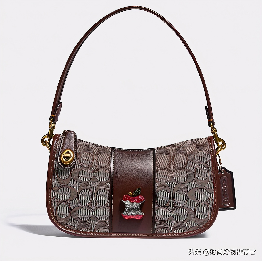 一周内爆款包包,单肩男包2019年冬季蔻驰