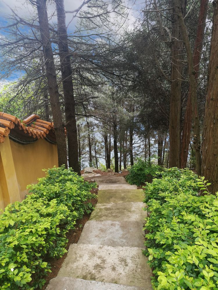 抚仙湖孤山上有什么景点,抚仙湖里的小岛