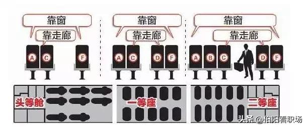 一只出差狗的日常,一只狗的自述经历