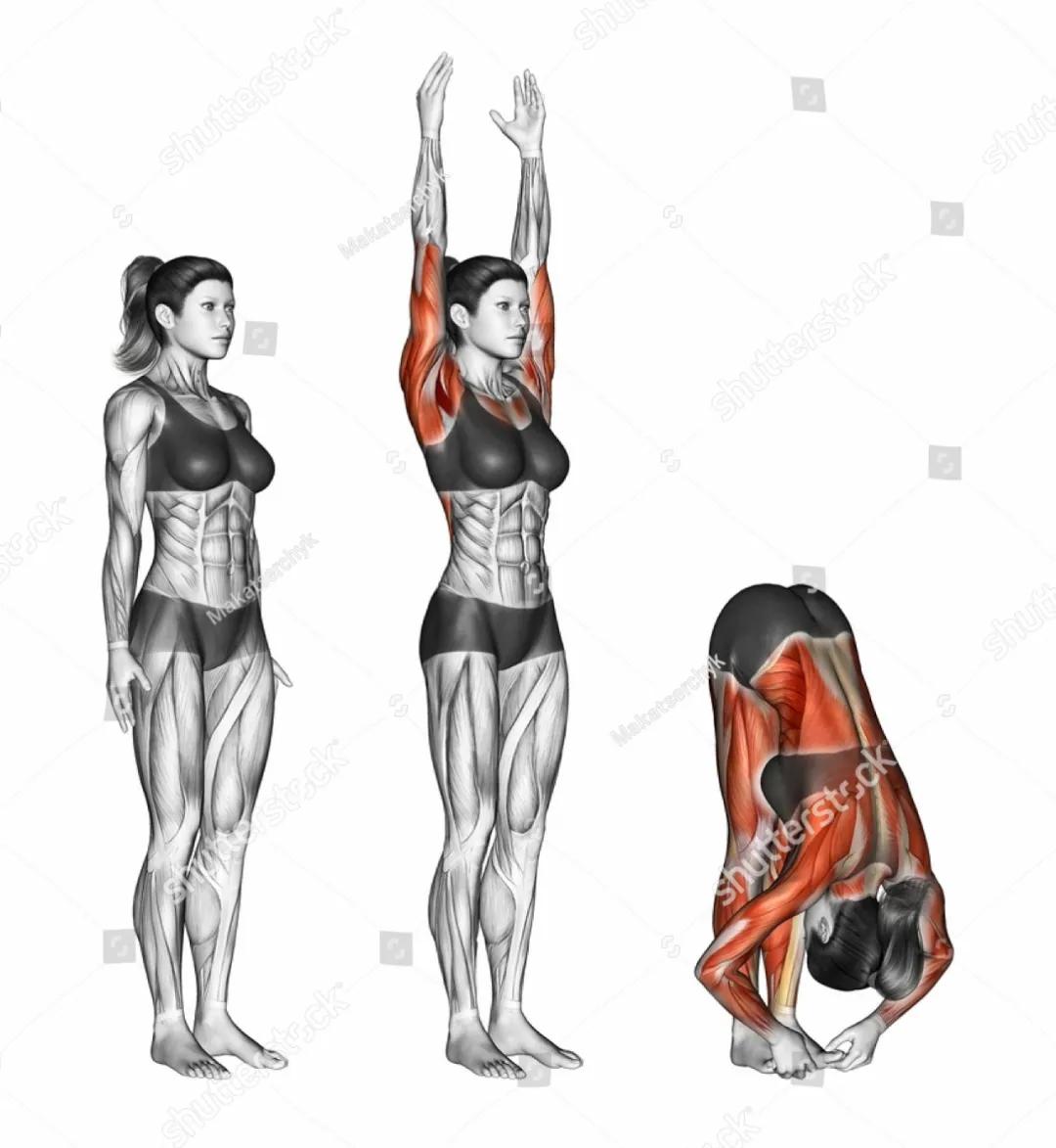 放松肌肉的动作图,各个肌肉的放松方法