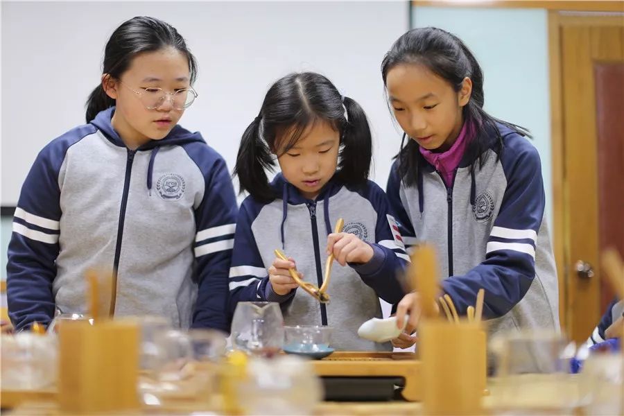 幼升小民办补录计划怎么看,温江民办学校小升初区域划分明细