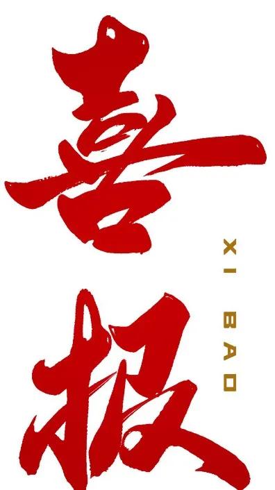 喜报医院获得青年文明号,医院荣获青年文明号新闻稿