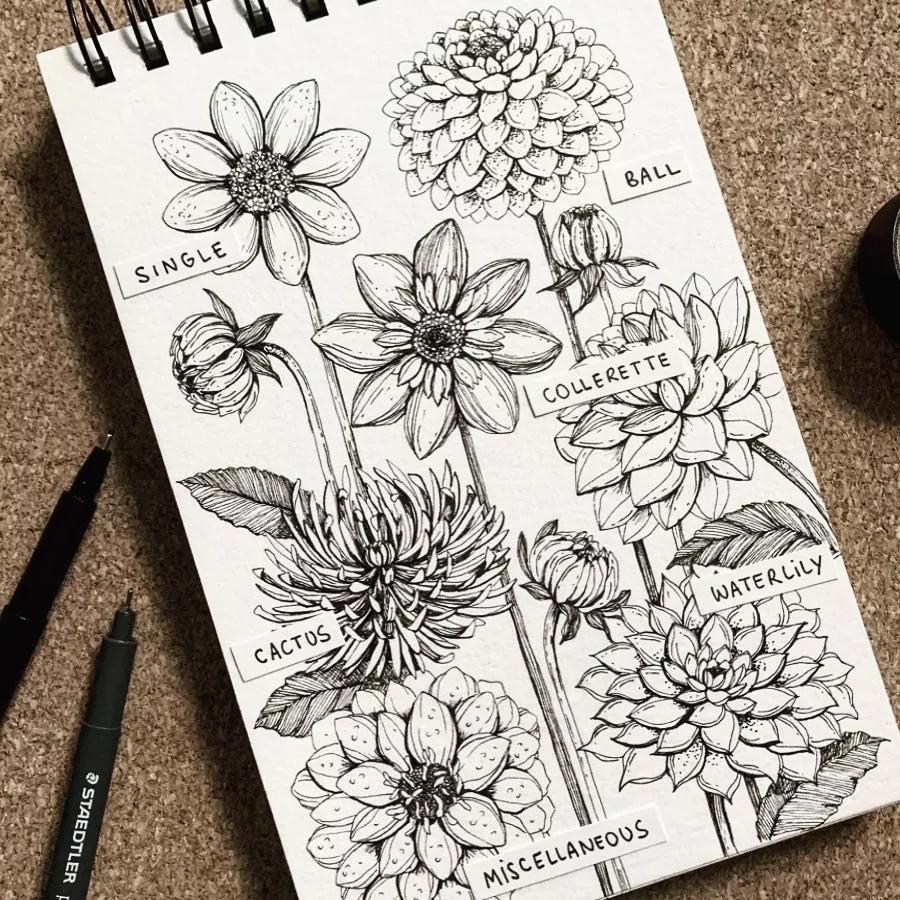 一看就懂的针管简笔画,针管笔入门手绘1000例临摹图