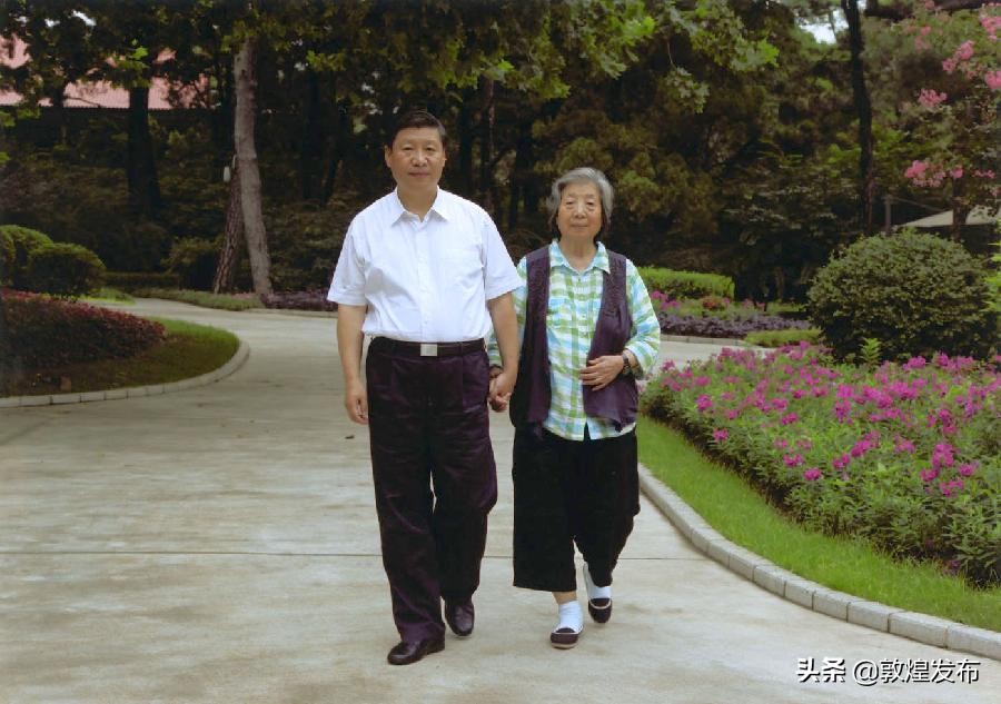 报得三春晖全文意思,报得三春晖