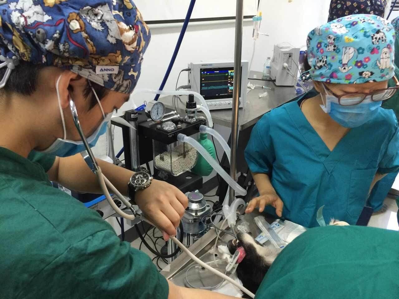 最新十五个冷门专业就业,就业率不好有哪些冷门本科专业