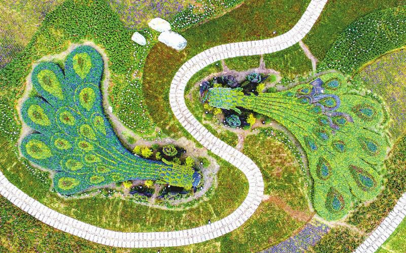 成都城市绿道,成都被山包围