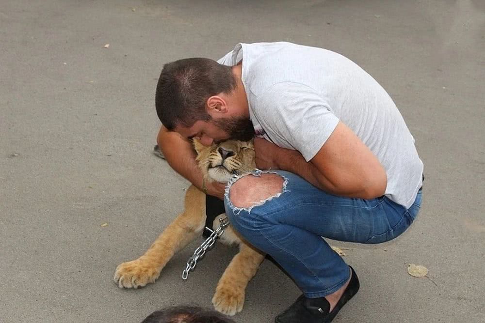 野生动物可以作为宠物吗