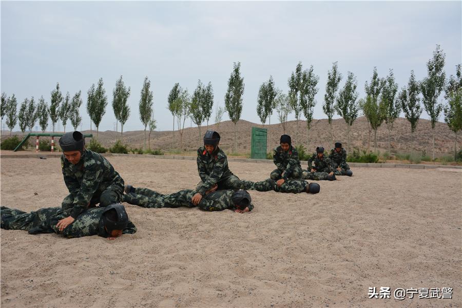 排长的一天工作,实习排长要实习多久