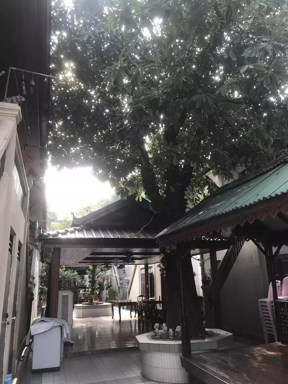 我的泰国吃住行攻略,住泰国的感受和体验